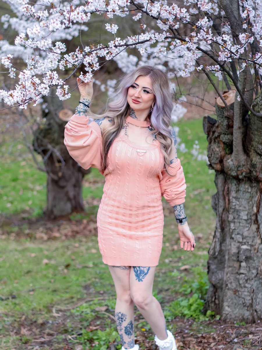 The Femme Daily ✧ tweet media
