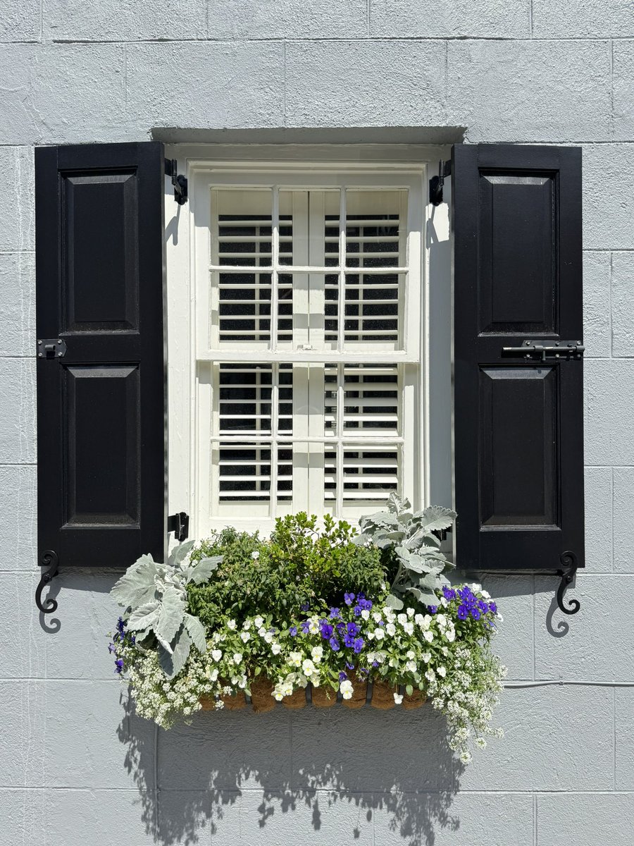 ChuckTownDaily's tweet image. Window Box Charleston 🧡🧡🧡

#charleston #charlestonhomes #downtowncharleston #charlestondaily
