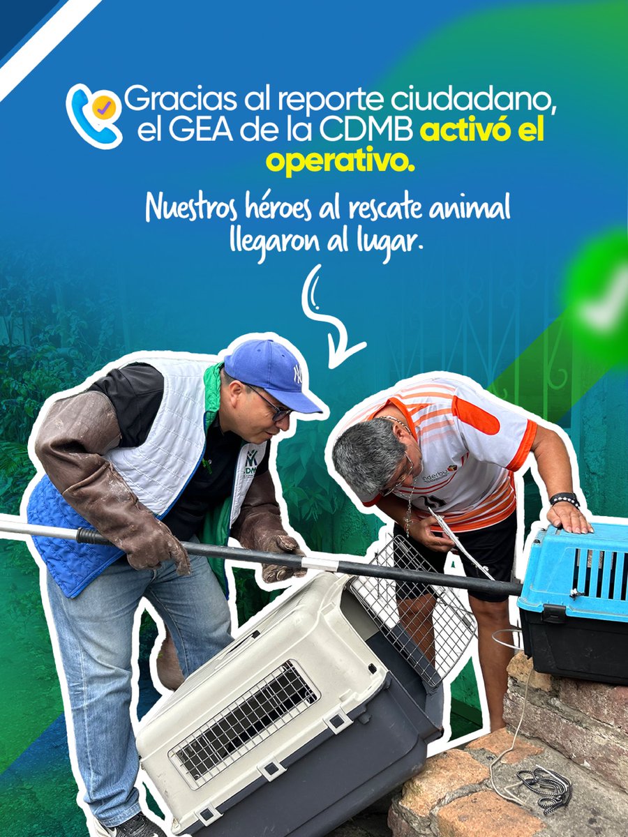 CDMB tweet media