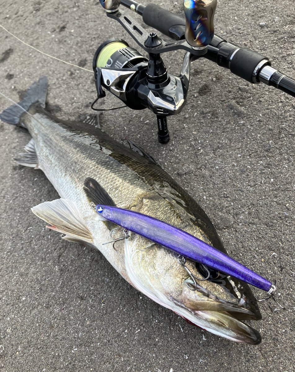 Angler_k11's tweet photo. ブログ更新しました✍️🔥
https://t.co/ldDXU56D3r https://t.co/fAI2JzoH8D