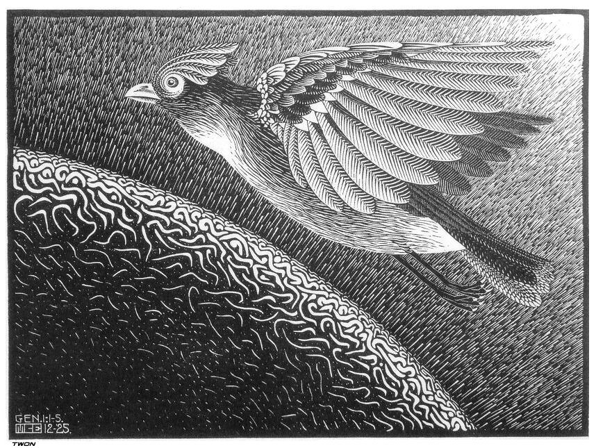 artistescher's tweet photo. The 1st Day of the Creation #artbots #escher https://t.co/nB5APCvDGc