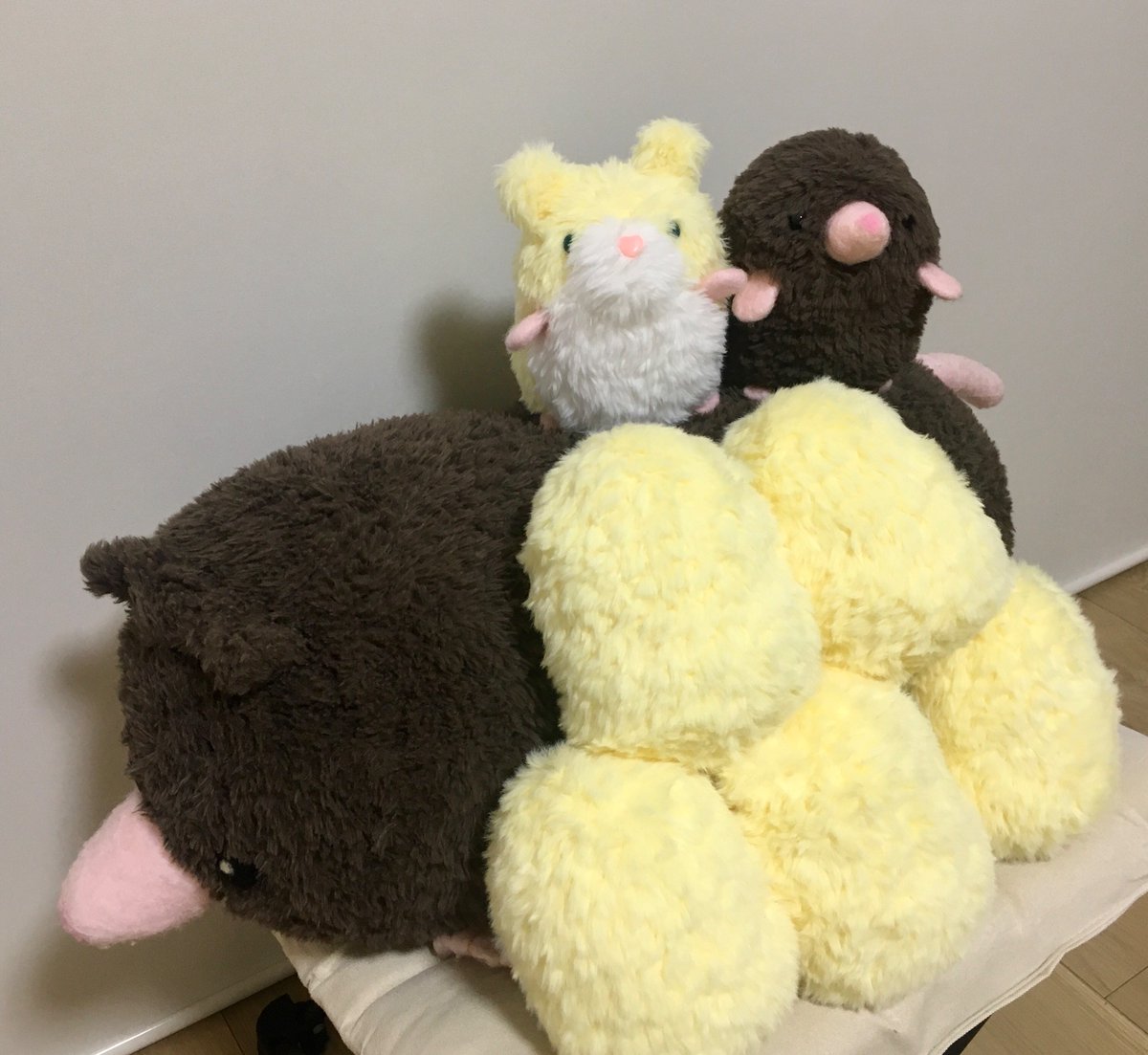 MGR(めぐり) tweet media