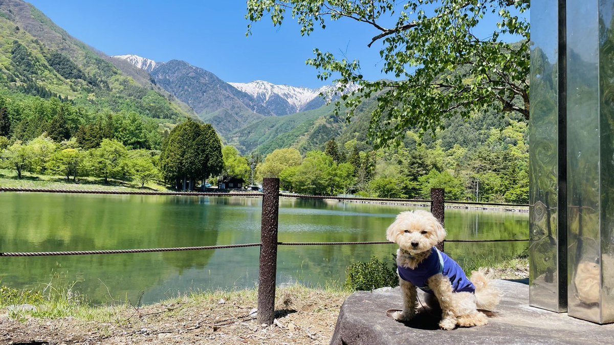 malpoo0926's tweet photo. お天気が良かったのでお出かけしました☀️ https://t.co/cKqlo4OowA