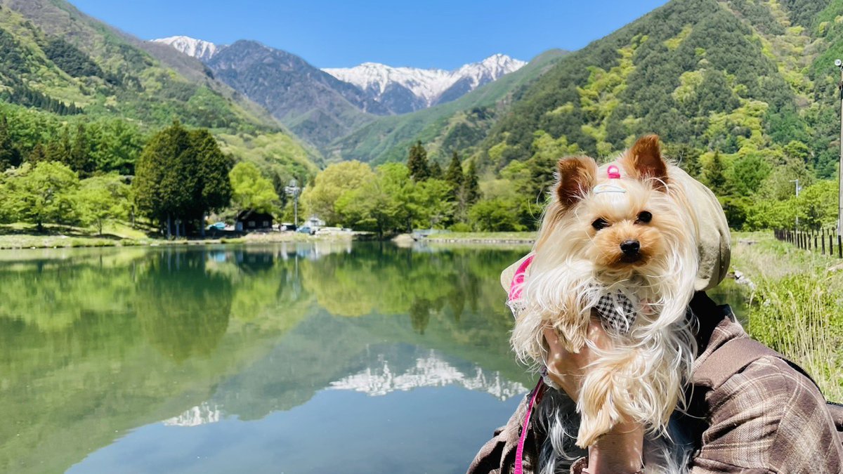 malpoo0926's tweet photo. お天気が良かったのでお出かけしました☀️ https://t.co/cKqlo4OowA