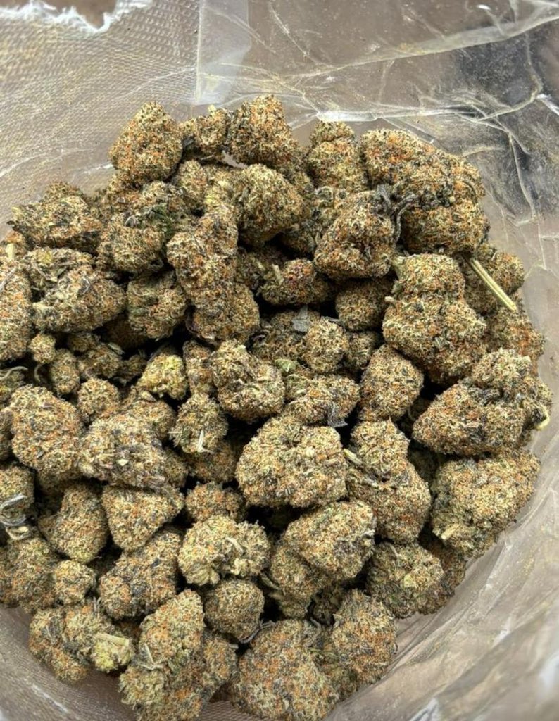 specialplug101 tweet picture