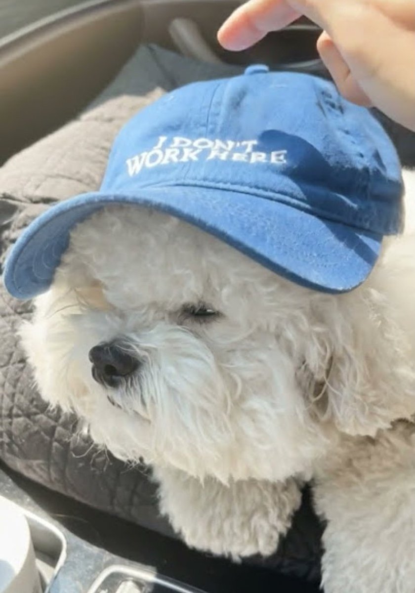 Puppy~