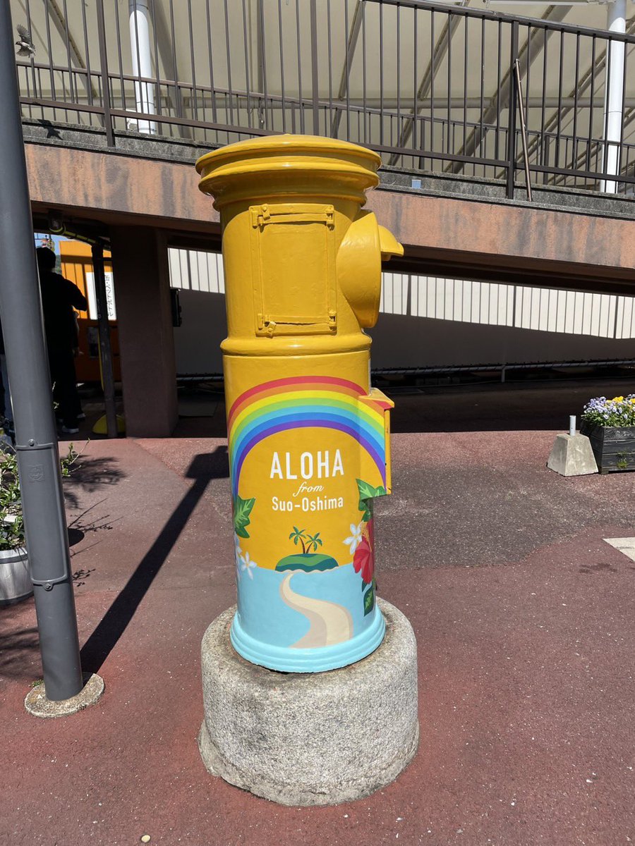 松葉鯉 tweet media