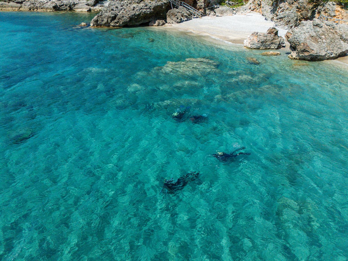 Luštica Bay tweet media