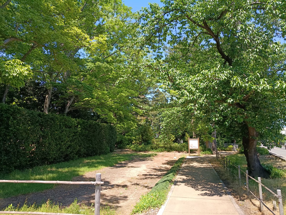 雨鷺庵 tweet media
