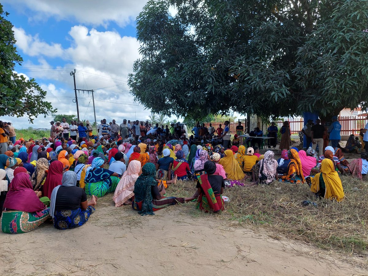 UNHCRMozambique's tweet image. Under the #UN Joint Response Programme, UNHCR teamed up with #UNICEF, #WFP, and #IOM to deliver food, shelter, WASH and protection for families forced to flee in #CaboDelgado🇲🇿

Together, we go further to protect lives and support the most vulnerable people in #Mozambique 🇺🇳🤝🇲🇿