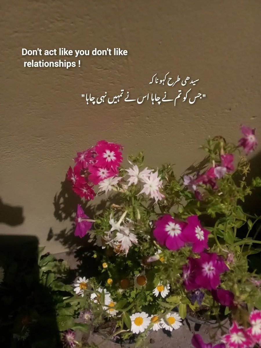 کیسا لگتا ہے کہ جب آپ کسی کو اپنی تمام تر شدتوں سے چاہیں اور وہ آپ کو چاہنے کی اداکاری کرے !
اور پھر کسی دن آپکو یہ آگاہی کا عذاب جھیلنا پڑے !
کہ
جس کو میں نے چاہا وہ تو فقط اچھا اداکار تھا  !

#قومی_زبان