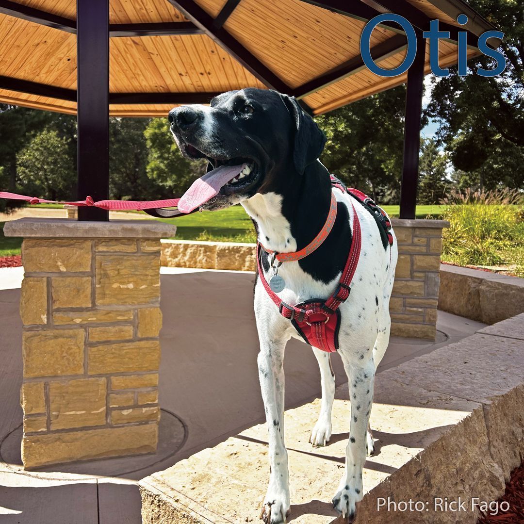 Golfdom's tweet photo. Meet Otis, representing the #UnderdogsOfTurf crew on and off the course. πΆπΏ
Thanks to Rick for the pic! πΈ
And weβre so grateful to @RainBirdGolf and John Deere for their support. β³
(Photo: Rick Fago) https://t.co/WrPRo2iuOP