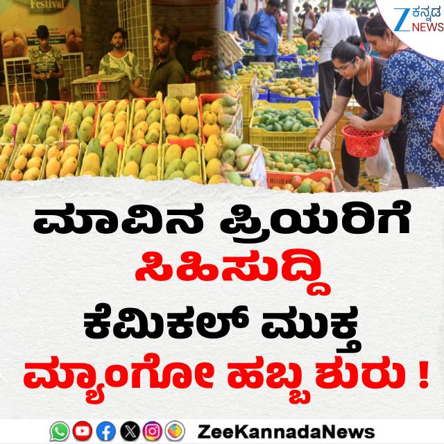 ZeeKannadaNews's tweet image. #BelagaviMangoMela #MangoMela #ChemicalFreeMangoes #Belagavi #MangoFestival #OrganicMangoes #FreshMangoes #ShowcasingFlavors #MangoLovers #TasteTheJoy #FarmersMarket #SupportLocal #FruitFestival #Nature'sBounty #HealthyEating #SustainableFarming #MangoSeason #FoodieEvent