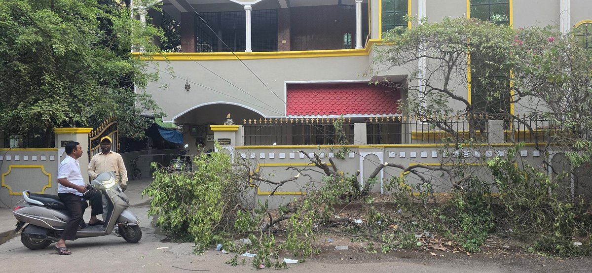 Khm951H's tweet photo. @GHMCOnline People chopped the whole tree so that their new shop board can be clearly visible. Kindly request you to  take strict action and impose fine. The tree was also on public property outside their compound wall. H No 1-5/14/1, St no 8/23, Habsiguda, https://t.co/2gU6WOmak0