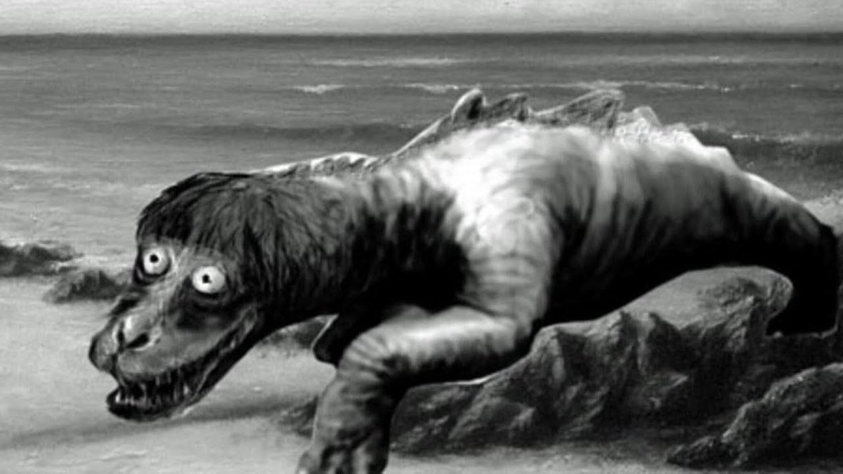 Legendary Cryptids tweet media
