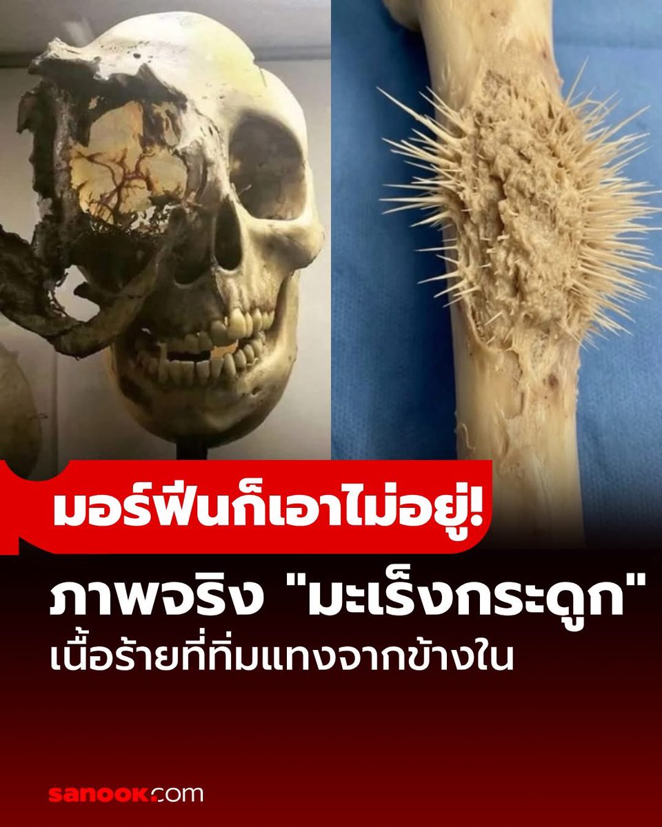 แบดแด๊ดดี้ tweet media