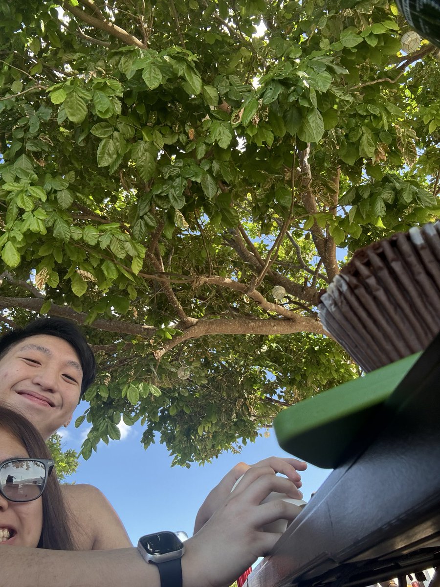 Thirdy tweet media