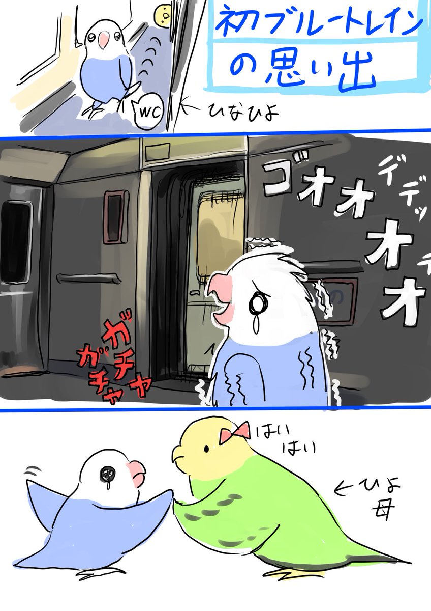 ほし（旅イラスト＆水中写真） tweet media