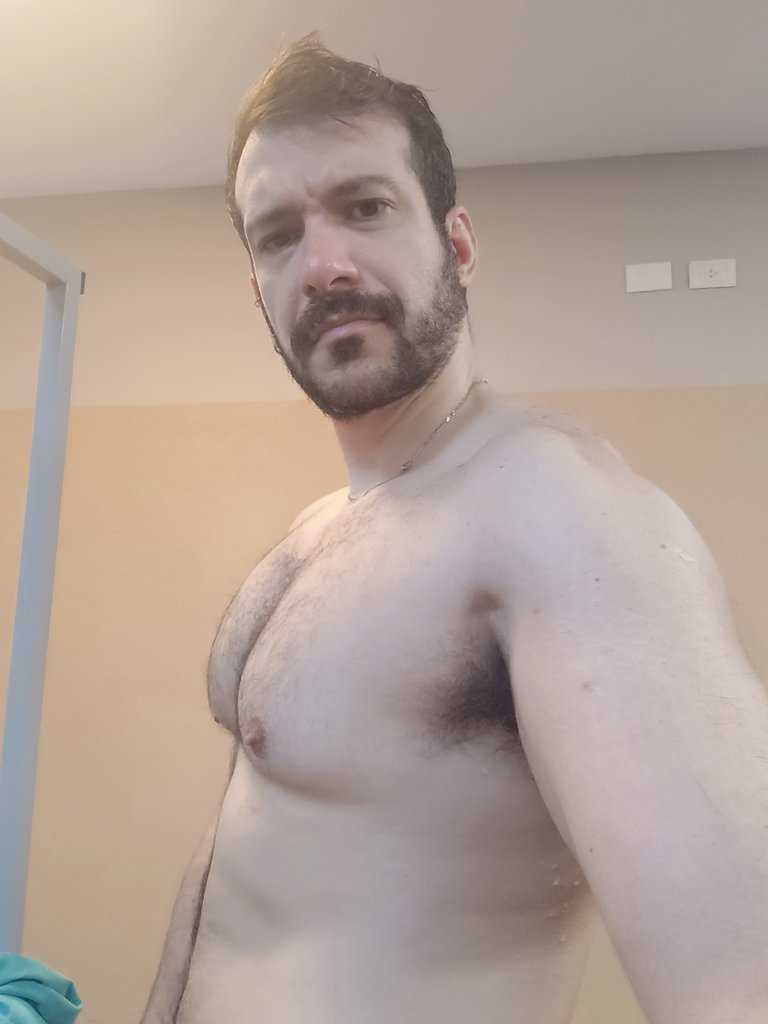 LR 🐺 tweet media