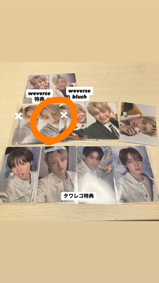 猫科 tweet media
