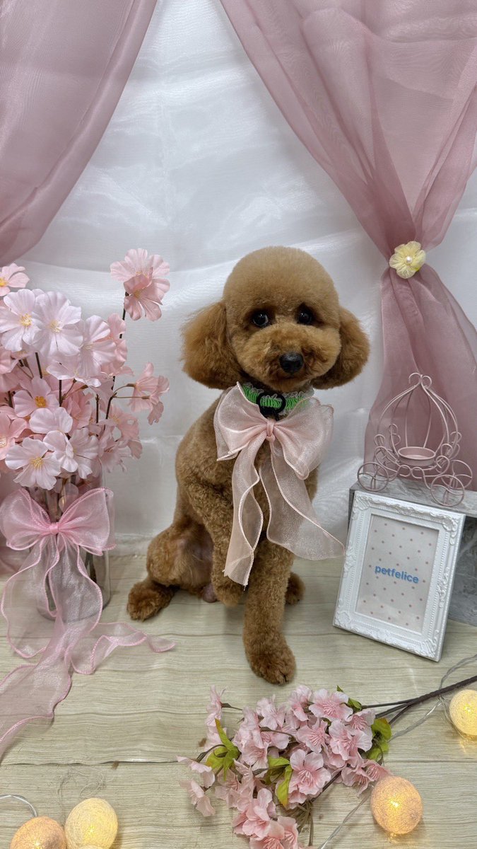 ♡KIRARI♡ (@KIRARI82512) / Posts / X