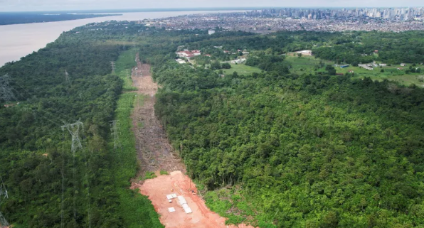 La Selva amazònica ha perdut un 18% de forest. Segons, l'Institut Postdam, si s'arriba a una forquilla entre el 22 i el 28% i amb 1,5-1,9ºC d'escalfament global, la seva degradació seria semblant a la sabana. Sense deforestació, l'escenari passaria amb 3,7 a 4ºC d'escalfament