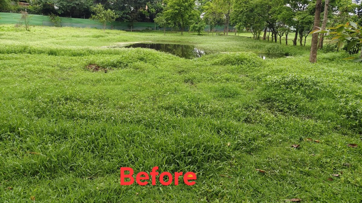 tiger69bn's tweet image. 69 Bn CRPF, Mantripukhri conducted a cleanliness drive within the campus, reinforcing discipline, hygiene, and environmental responsibility. 🇮🇳🧹
#SwachhBharat #CleanIndia #CRPF #NationFirst
@crpfindia @PMOIndia @HMOIndia