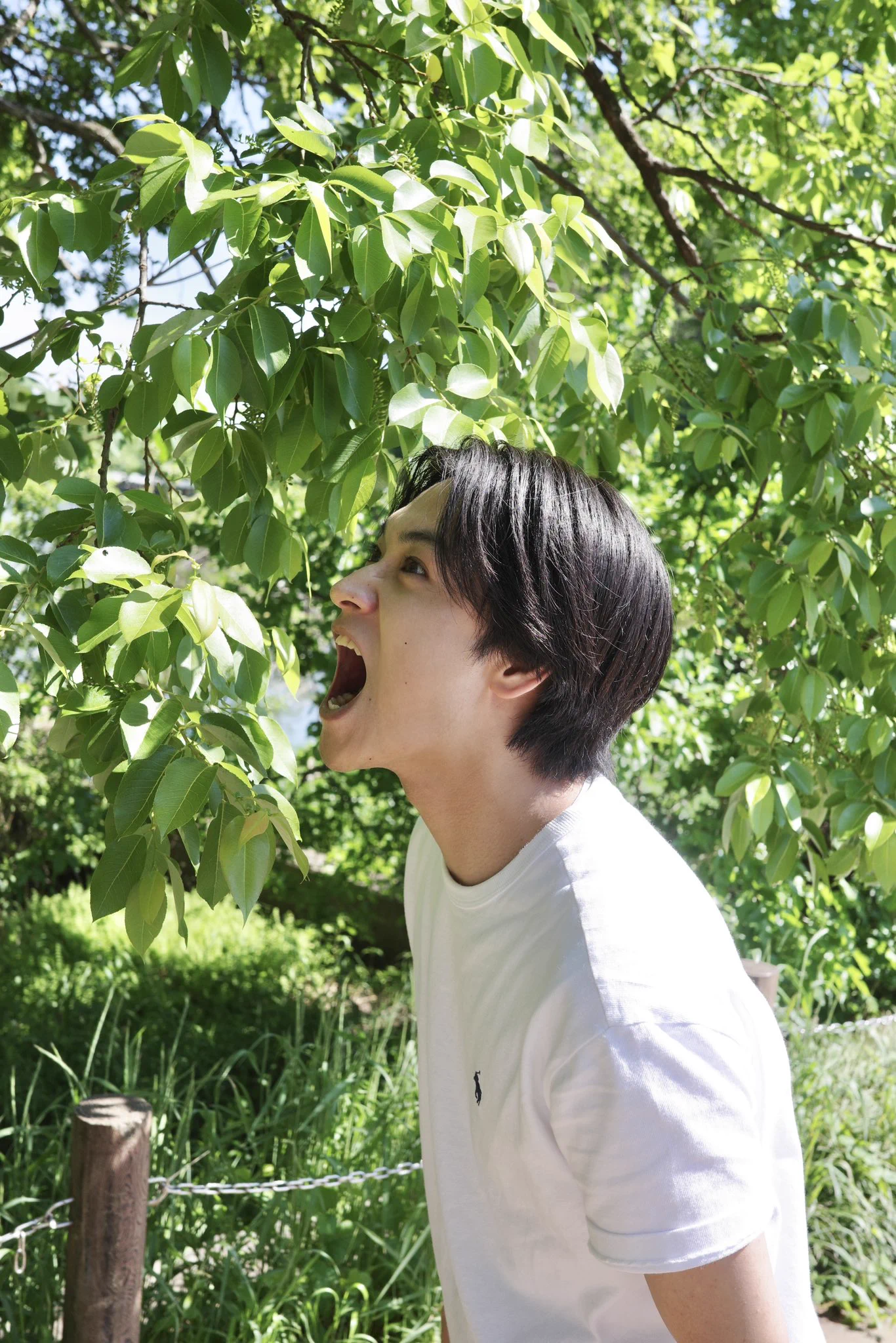 井上想良/inoue sora on X: 