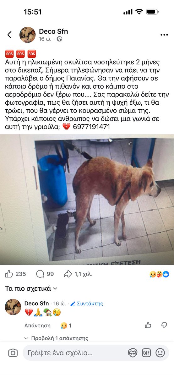 rikoulini's tweet photo. Ηλικιωμενη σκυλίτσα θα βρεθεί στο δρόμο! Κοινοποιούμε🆘🆘 https://t.co/Nup9tUCguO