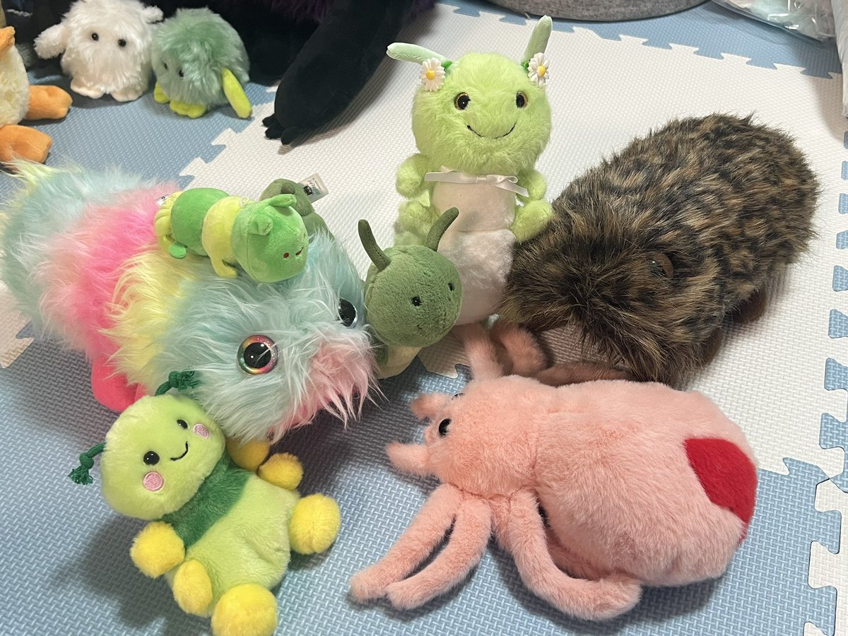 部屋にいた虫的な人たちを集めてみました。左から、愛ちゃん、ムチイモ、まゆたん、エンドウ、きぬさや、ムクたん、チモ