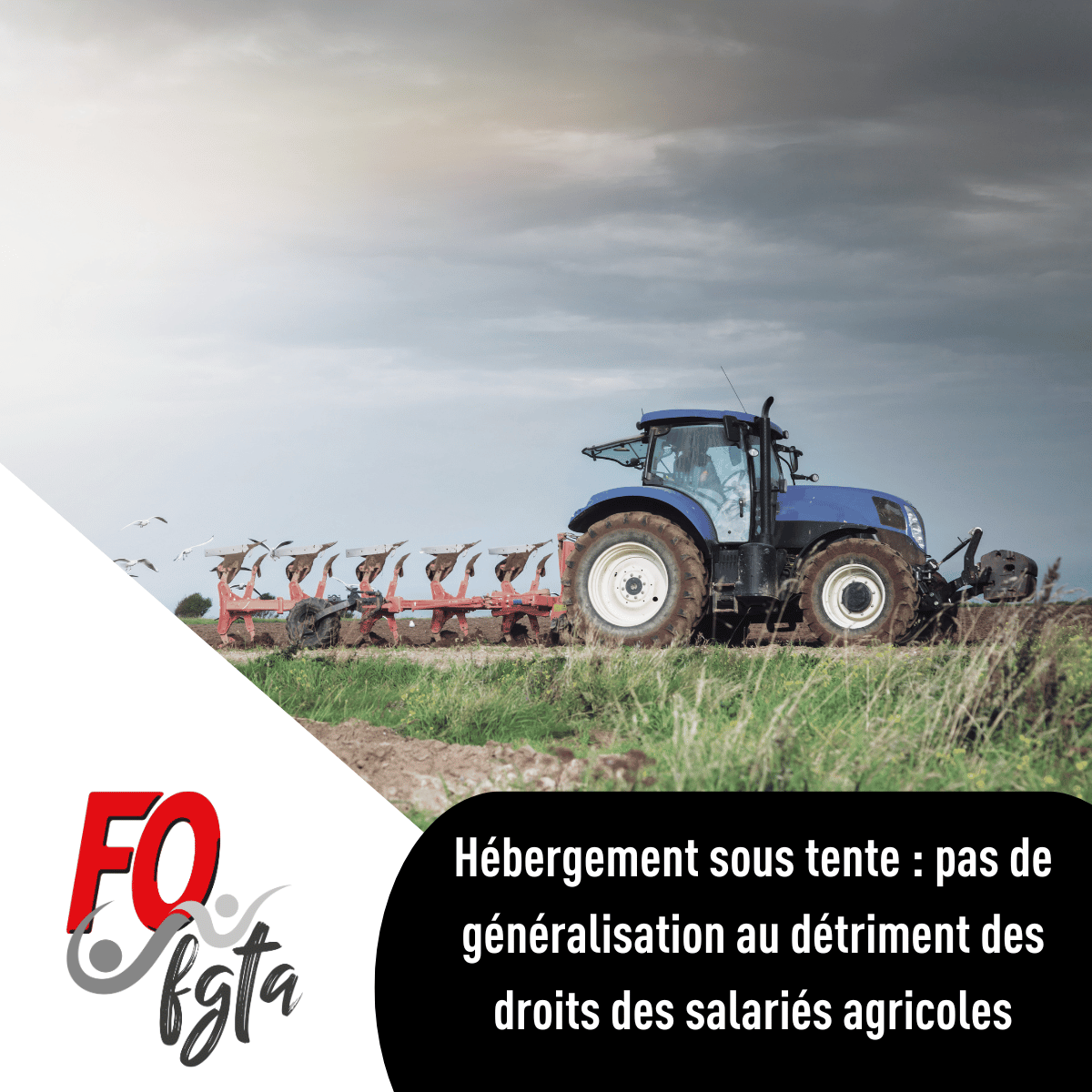 FGTA-FO tweet media