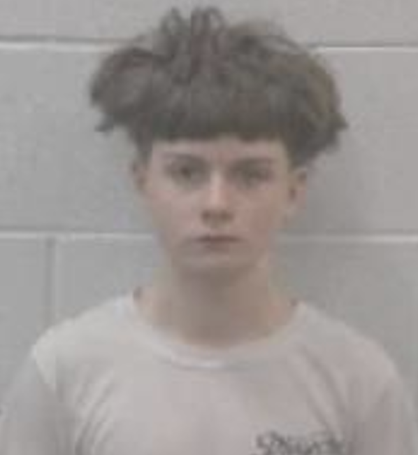 Pasco Sheriff’s deputies are currently searching for Cayden Elliott, a missing/runaway 14-year-old. Elliott is 5’4”, around 120 lbs., with brown hair and hazel eyes. Elliott was last seen on May 3, around 1:00 a.m., in the Holiday Dr. area of Holiday. It is unknown what Elliott