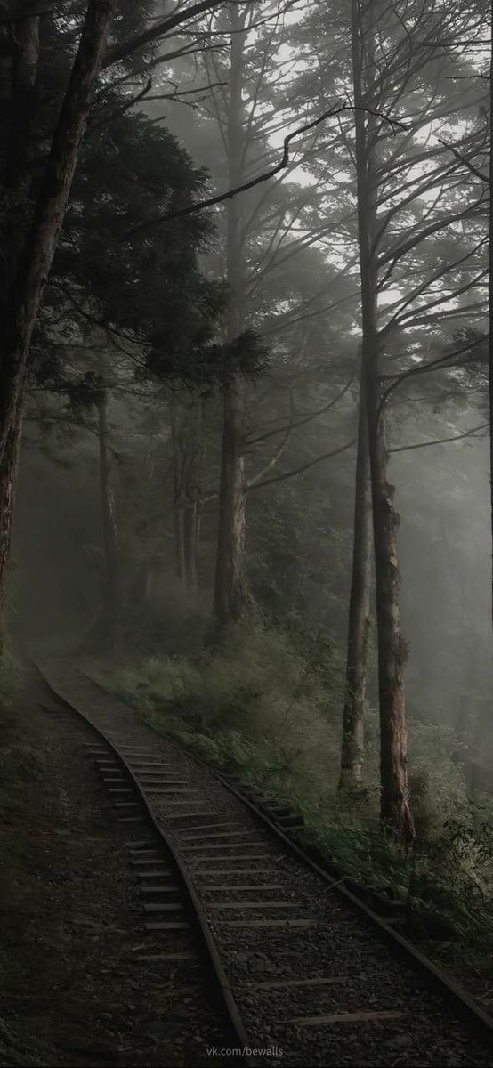 Blackwallp24526's tweet image. Turn your phone into a midnight #forest 🌑🌿

Minimal, dark, and peaceful wallpapers.

Download here 👇
 apps.apple.com/us/app/black-w…
#MidnightForest #DarkAesthetic #BlackWallpaper #PhoneAesthetic #FYP