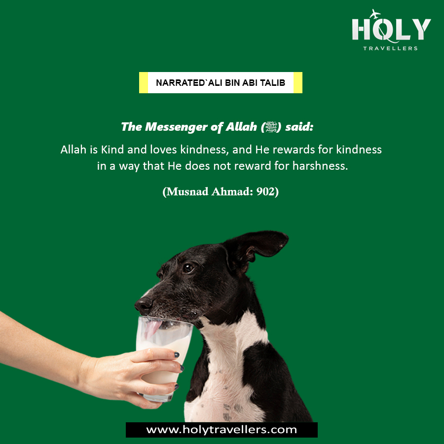 holy_travellers's tweet image. Small acts of compassion have the power to open the biggest doors of mercy.
𝐀𝐥𝐥𝐚𝐡 𝐅𝐨𝐫𝐠𝐚𝐯𝐞 her after a sincere moment.
Never undervalue a good deed, no matter how small. 

#IslamicReminder #Hadith #KindnessInIslam #MercyOfAllah #Sadaqah #IslamicQuotes @holy_travellers