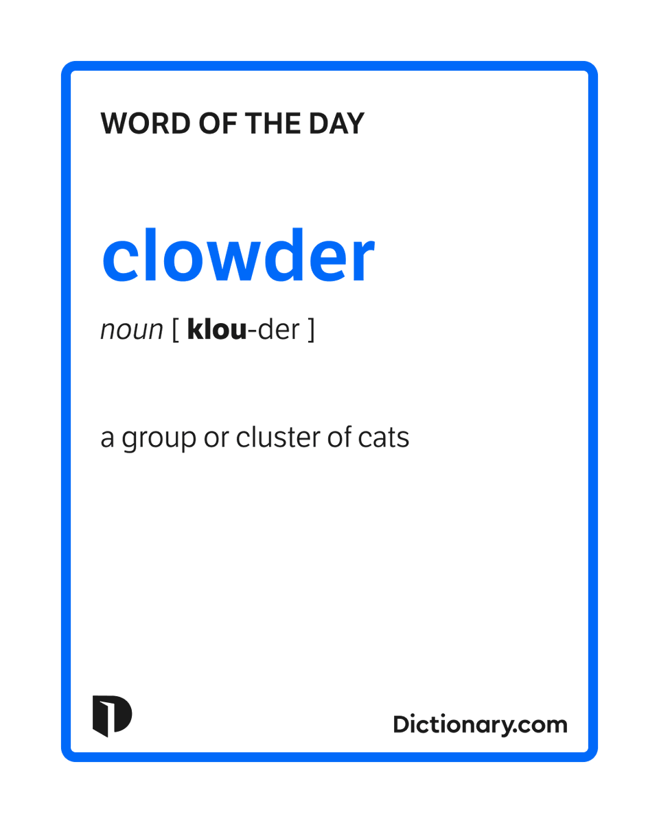 Dictionarycom's tweet photo. Today's #WordOfTheDay is clowder. 

Learn more about this word: https://t.co/kwuI6URp4S https://t.co/dnA8lqDUcy