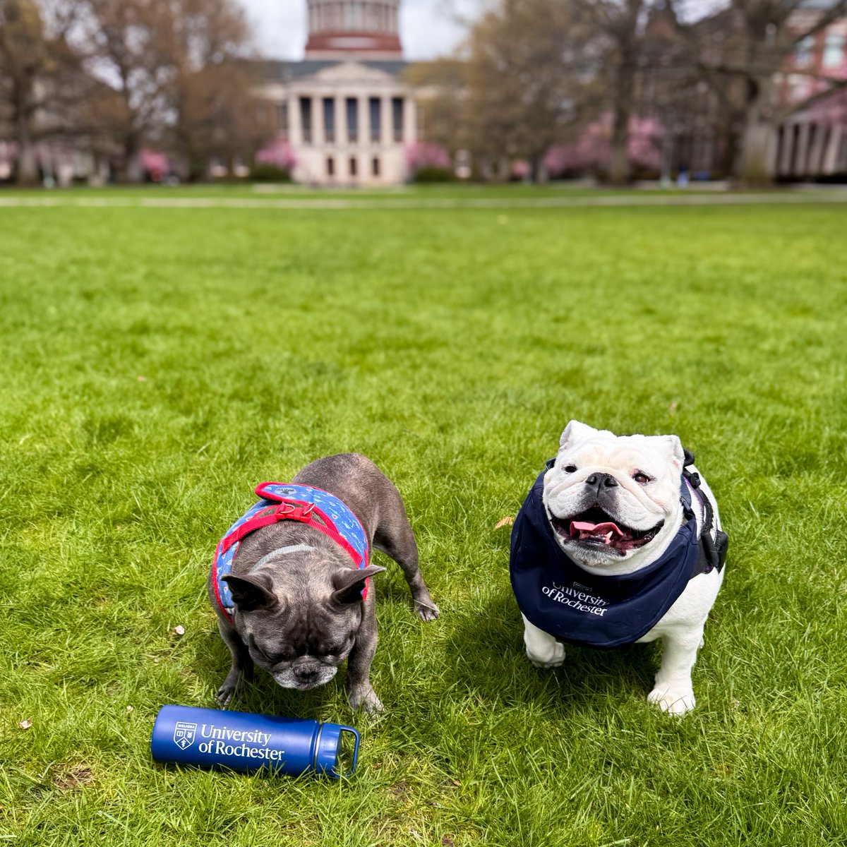 University of Rochester tweet media
