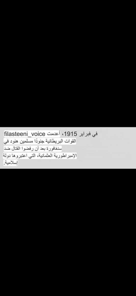أم محمد tweet media