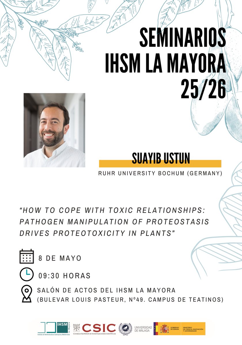 IHSM La Mayora tweet media
