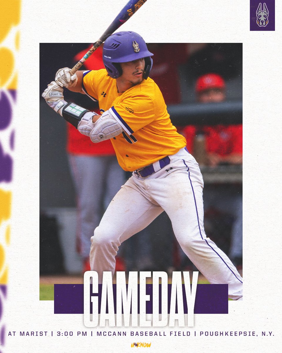 UAlbany Baseball tweet media