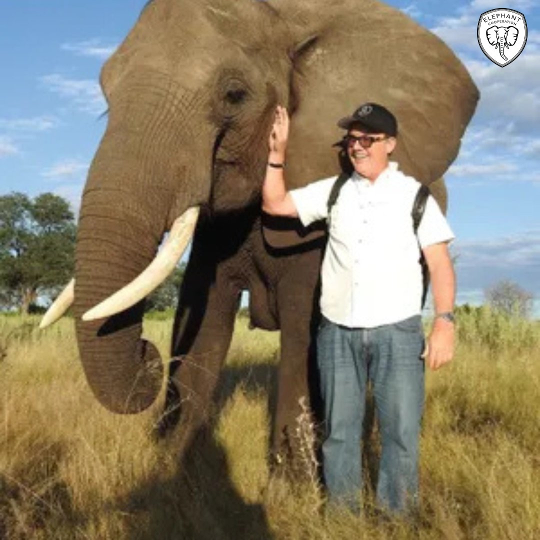 ElephantCoop's tweet photo. Every elephant is a guardian of Africa’s wild heart.

Protecting them means safeguarding landscapes, wildlife, and communities. 

Join Elephant Cooperation; together, we create lasting change for elephants and the world we share. #ProtectElephants #CommunityFirst https://t.co/OuzpdDmpFC