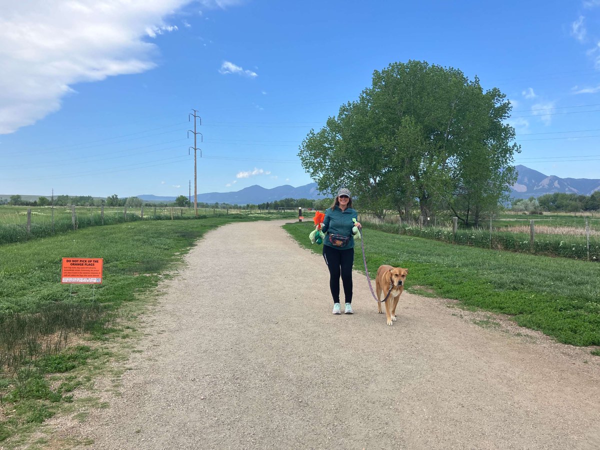 boulderosmp's tweet photo. Join us for Let’s DOO It! event by picking up dog poop. Picking up after your dog helps keep waterways clean, supports native plants and ensures a better experience for everyone.

📍 Dry Creek TH, Shanahan TH &amp; Coot Lake
 https://t.co/tbrsdOiVGM https://t.co/YwiFSjKrGR