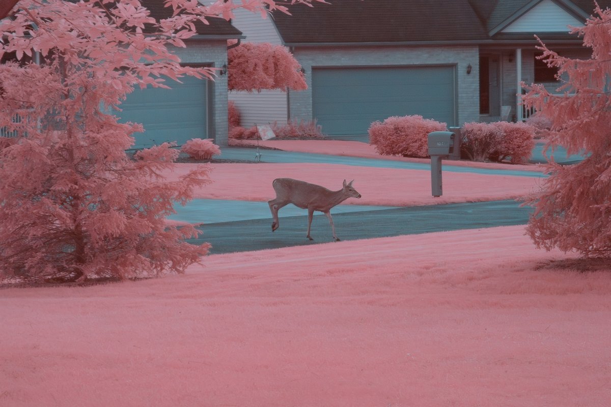 abject's tweet photo. Sunset in infrared.

#infrared #sunset https://t.co/87066IHn3J