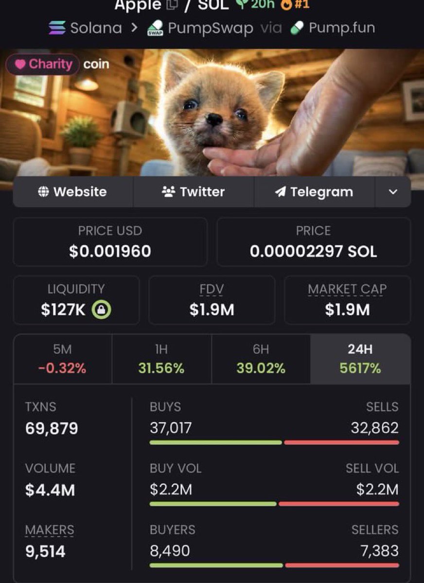 Degen 🎯Binxty🎰 tweet media