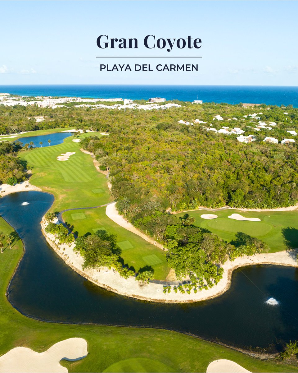 Premier Golf tweet media