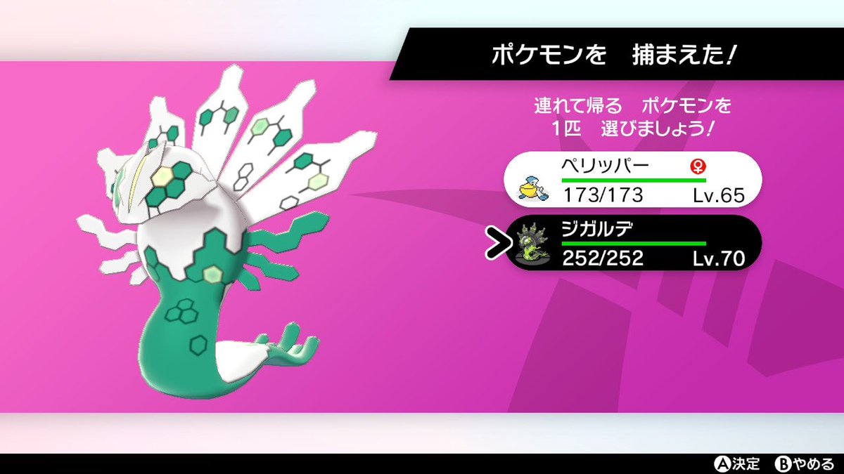 新茶 tweet media