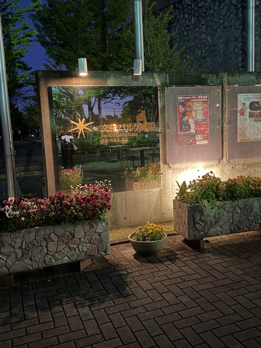 モーリー tweet media