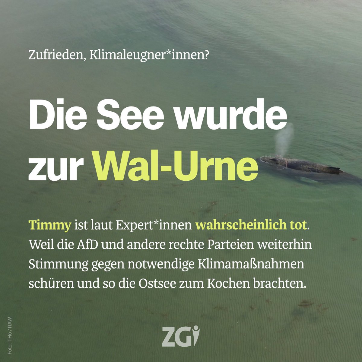 ZGI tweet media