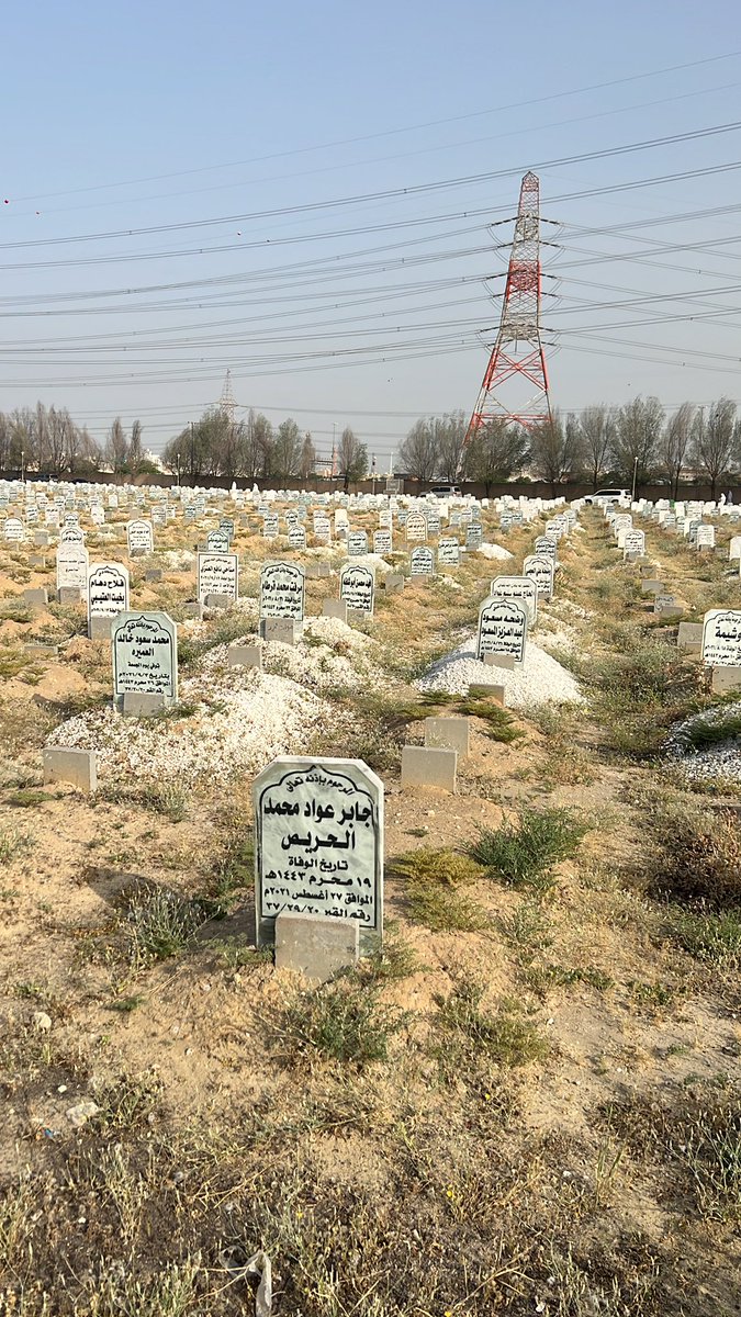 مسّلط tweet media