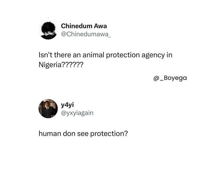 𝑭𝒓𝒆𝒅🦇 tweet media