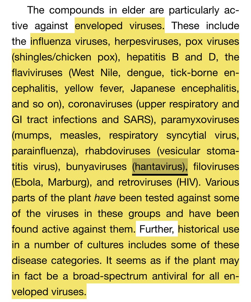 polycultured tweet media